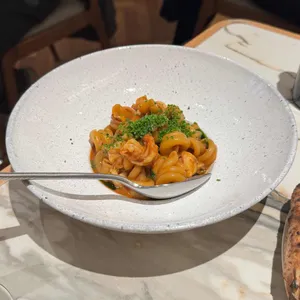 다로베 대표 사진