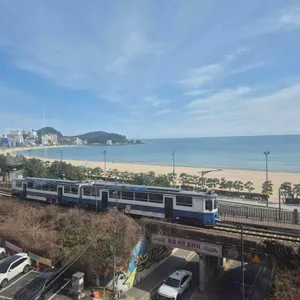 수월경화 리뷰 사진