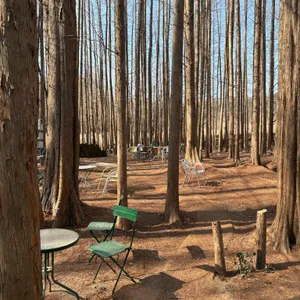 메타포레스트 대표 사진