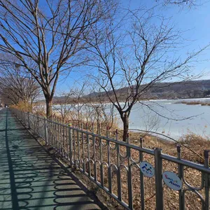 꽃피는밀 리뷰 사진