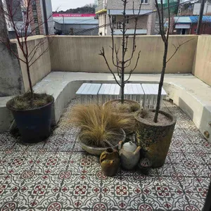 16시간 대표 사진