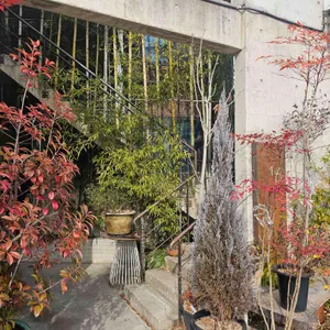 16시간 대표 사진