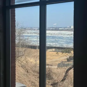 아보고가 리뷰 사진