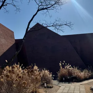 아보고가 리뷰 사진