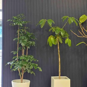 고가식당 리뷰 사진