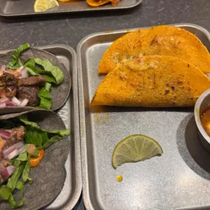 더타코부스 대표 사진