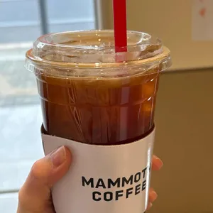 매머드익스프레스 사진