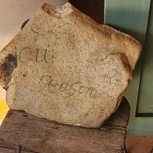 아워시즌 대표 사진