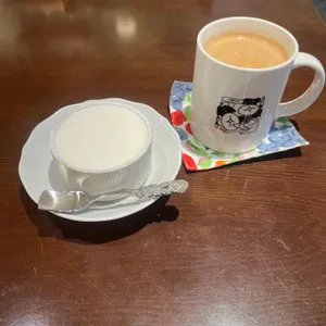 카페 나팔꽃 사진 1