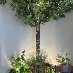 동양찻집 리뷰 사진