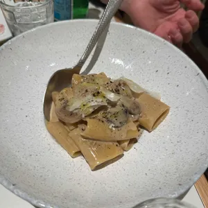 다로베 대표 사진