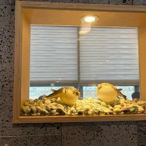 복터진집 대표 사진