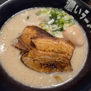 코이라멘 대표 사진