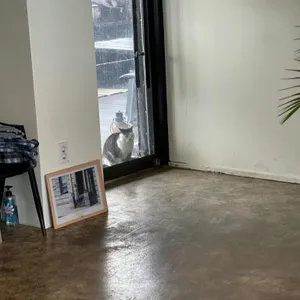 원오브어스 리뷰 사진