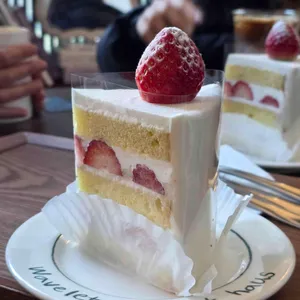 웨이브렛 대표 사진