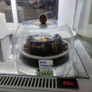 하이드벗 대표 사진