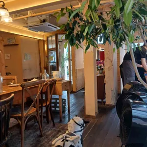 부산대 포맨티코 대표 사진