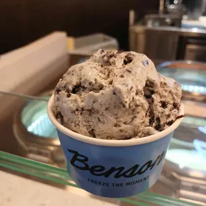 벤슨 대표 사진