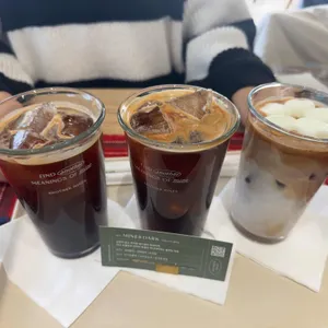 어나더미네스 사진