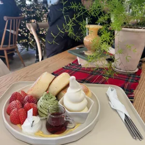 어나더미네스 사진