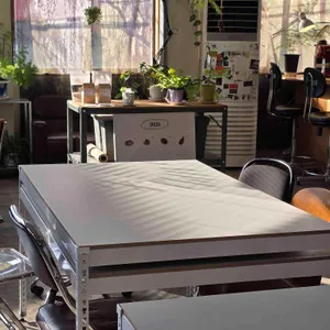 복합성 대표 사진