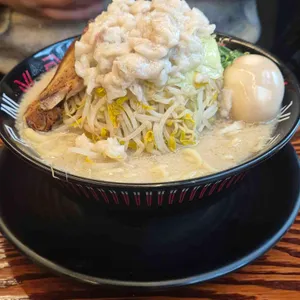 코이라멘 사진 1