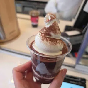 블루샥 대 대표 사진