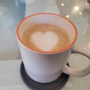 포포라레 대표 사진