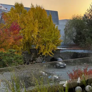 세콘도 리뷰 사진