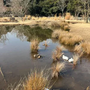카페 담소요 리뷰 사진