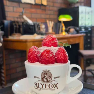 슬라이폭스 리뷰 사진