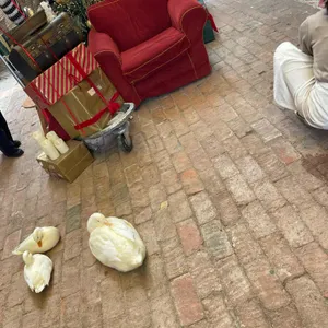 투하츠 베이커리 대표 사진