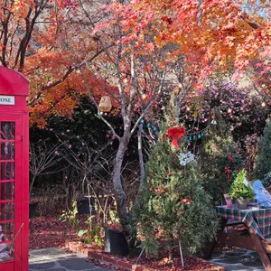 아르세 대표 사진
