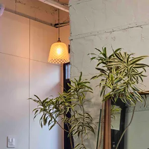 소보 리뷰 사진