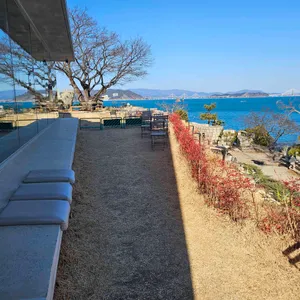 매미캐슬 리뷰 사진