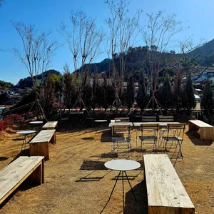 매미캐슬 리뷰 사진