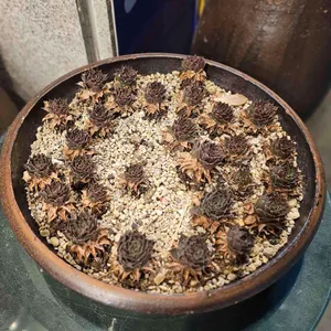 산봉쌈밥 리뷰 사진