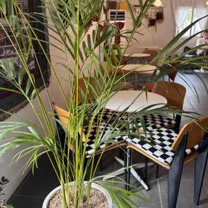 스칼렛베이커리 대표 사진