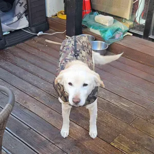 솜씨공방카페 대표 사진