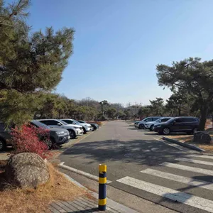 세컨디포레스트 리뷰 사진