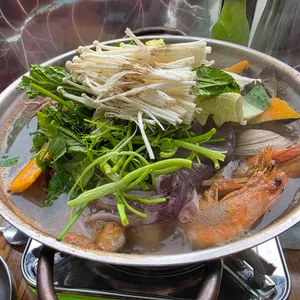 느릅나무 대표 사진