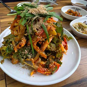 느릅나무 대표 사진