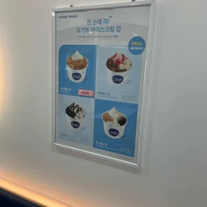 요거트월드 리뷰 사진