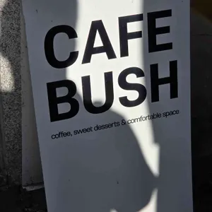 부쉬 리뷰 사진