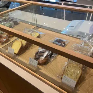 알레그리아 사진 1