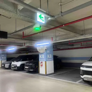 알레그리아 리뷰 사진