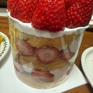 빵파제 대표 사진