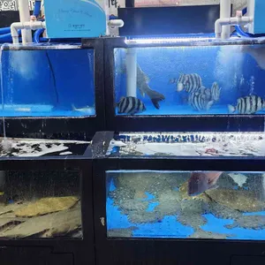 광동수산산오징어 대표 사진