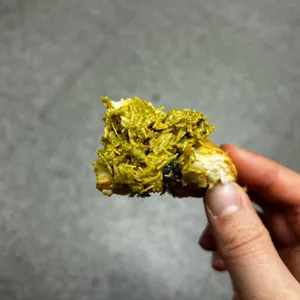 쿠키슴슴 대표 사진