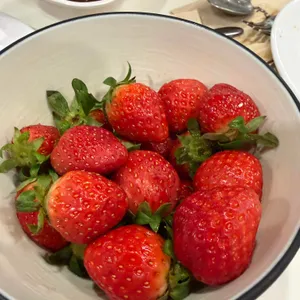 애슐리 대표 사진